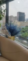 点击看大图 -智美品质医美
