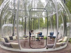 -黄海国家森林公园