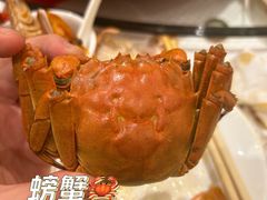 -新洪记·丽久饭店(铁西店)