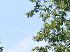 -仰口沙滩