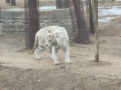 -秦皇岛野生动物园
