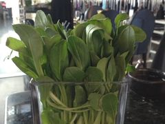 -王家渡火锅店(棕榈泉店)