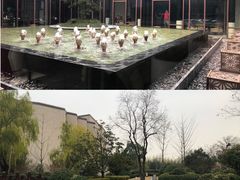 -上海崇明金茂凯悦酒店