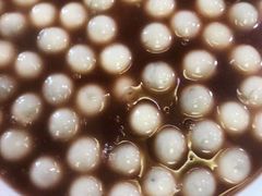 -呼吸森林·生态农庄农家乐私房菜