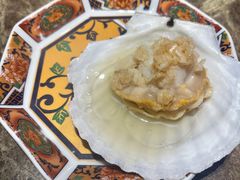 俄罗斯大扇贝-日进一片海.生腌海鲜火锅.宵夜烧烤(三里屯总店)