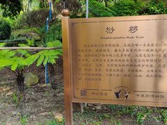 -广州神农草堂中医药博物馆