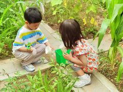 -红黄蓝幼儿园(颐东苑店)