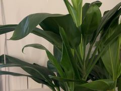 -沐森 •疗愈头疗馆(打浦桥店)