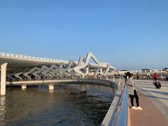 -演武大桥观景平台