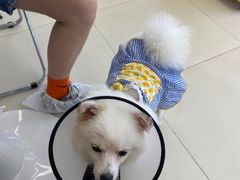 -怪兽屋·羊驼·猫咖·狗咖(俊华广场店)