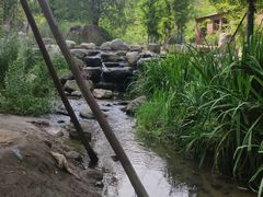-白水寺森林公园
