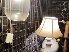 -肴约·花园式餐厅(湖里店)