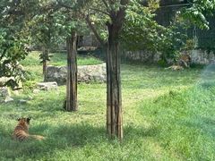 -西安秦岭野生动物园