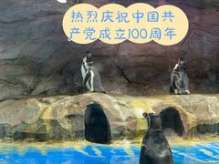 -秦皇岛新澳海底世界