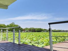 -石家庄市植物园