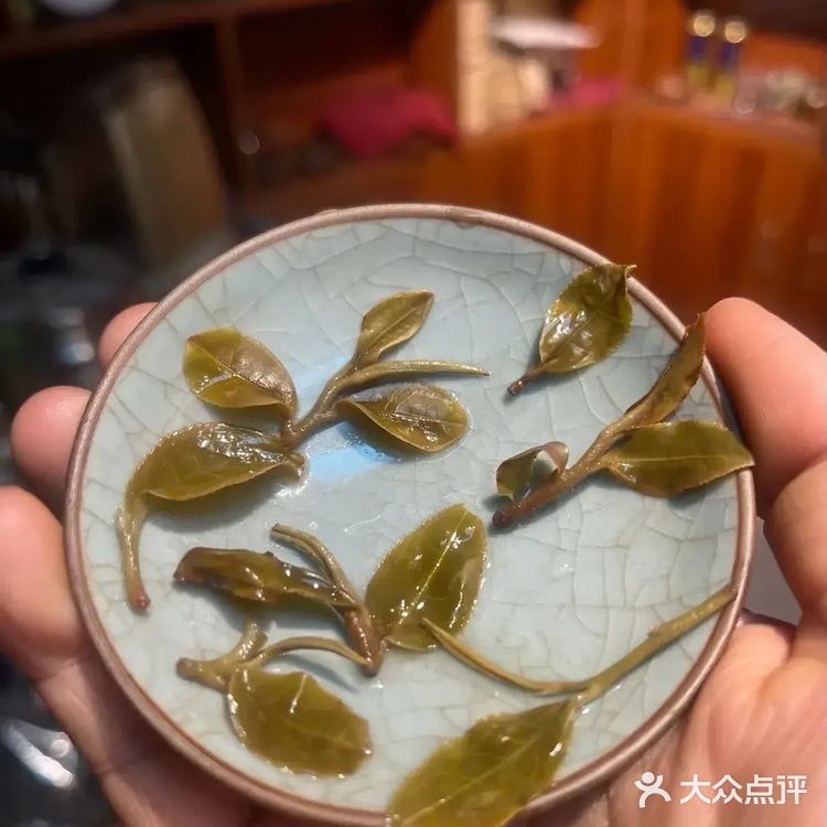 倚邦曼拱猫耳朵小叶种茶