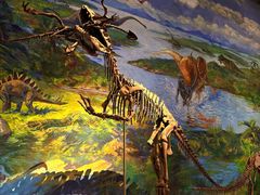 -自贡恐龙博物馆