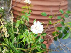 -白塘生态植物园