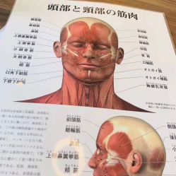 -壹良質サロン