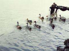 -乡乐园蟹庄·阳澄湖农家乐