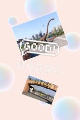 -恐龙探索乐园(磁器口店)