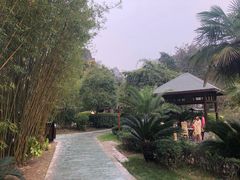 -咸宁万豪温泉谷度假区