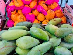 -红星农博物流中心