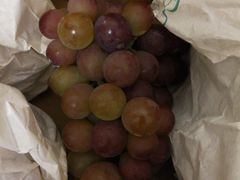 -马陆小张葡萄园农家乐