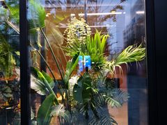 -Soloist 独奏公司(798店)