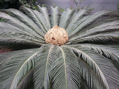 -万源龙顺度假庄园生态观光园