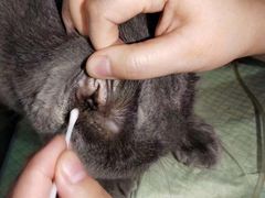 -百信宠物医院(东升街店)