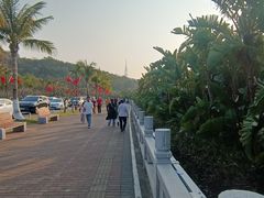 -野狸岛