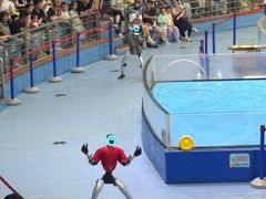 -合肥海洋世界