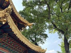 -护国法轮寺