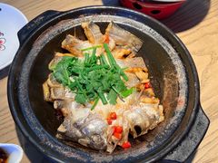 生焖海鲈鱼-茄子恰恰·新云南小炒(坪山益田店)