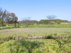 -广富林郊野公园