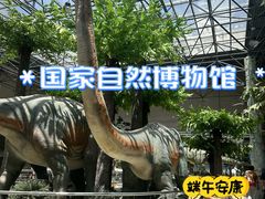 -国家自然博物馆