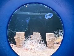 -欢乐海岸海洋奇梦馆