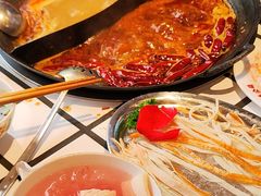 -朱光玉火锅馆(正弘城店)