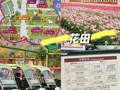 -盈香心动乐园