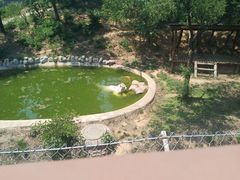 -石家庄市动物园