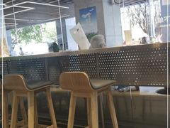 -喜茶(深圳中心书城店)