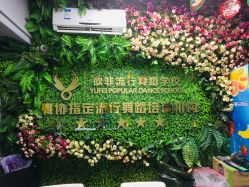 -欲非舞蹈