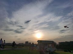 -光明小镇欢乐田园