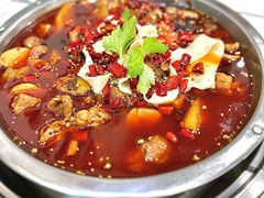 -晓彭肥肠鸡(春熙路店)