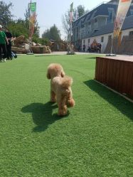 -优沃得自然教育农场·冰雪乐园·生日会·研学