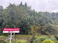 -龙水峡地缝景区