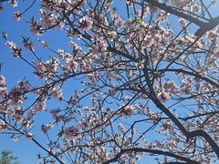 -时代奥城商业广场