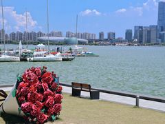 -金鸡湖景区