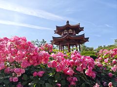 -大慈恩寺(大雁塔)